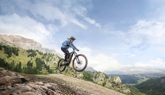 AUDI UNVEILS HIGH-PERFORMANCE EMTB IN COLLABORATION WITH FANTIC - TheArsenale