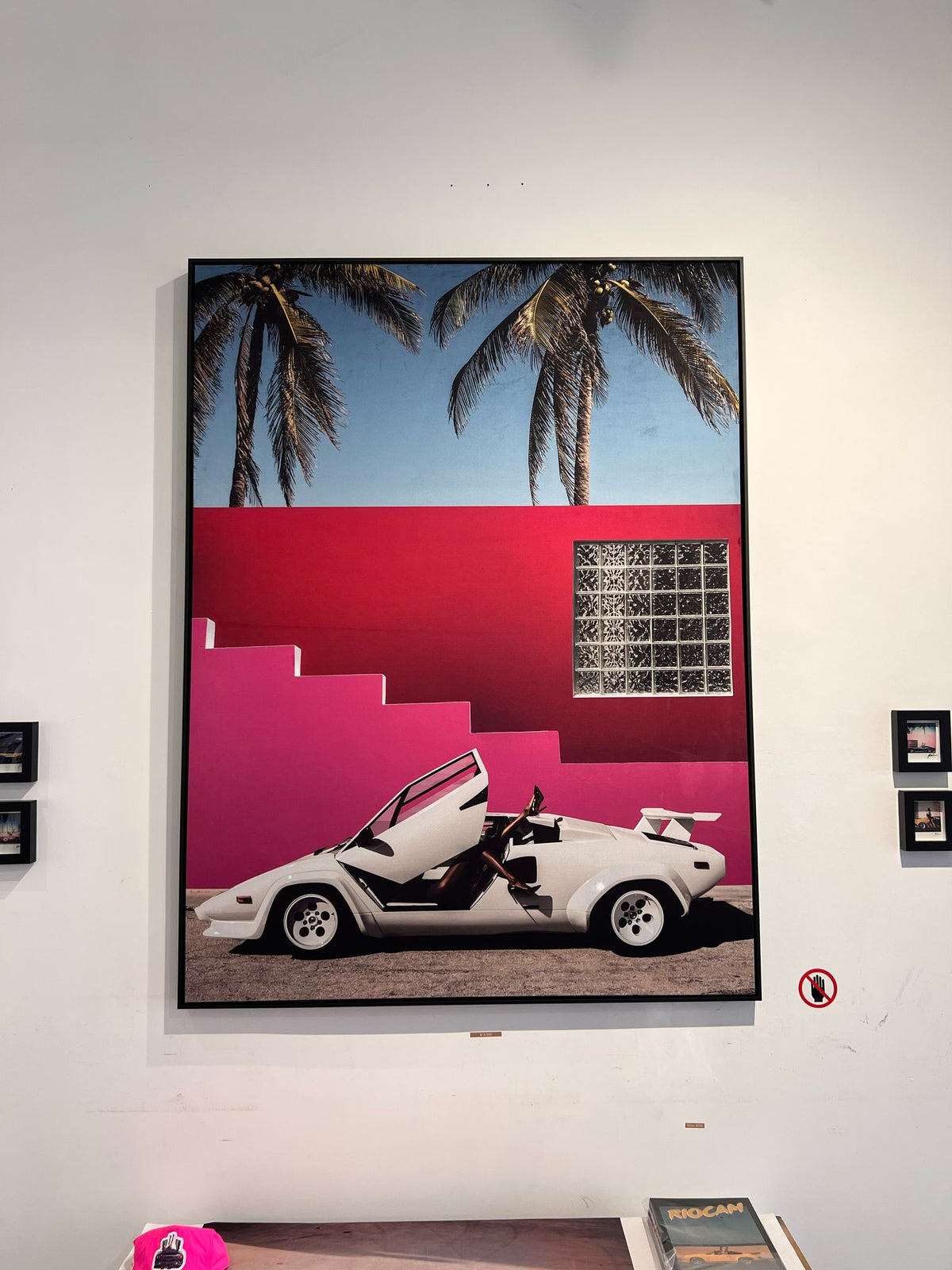 RIOCAM WHITE LAMBO