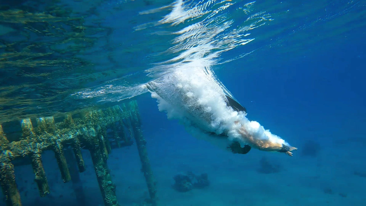 KikFin Pro - Smart Swimming Fin