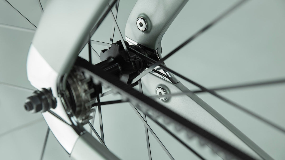 Akhal Shine - Luxury Bicycle