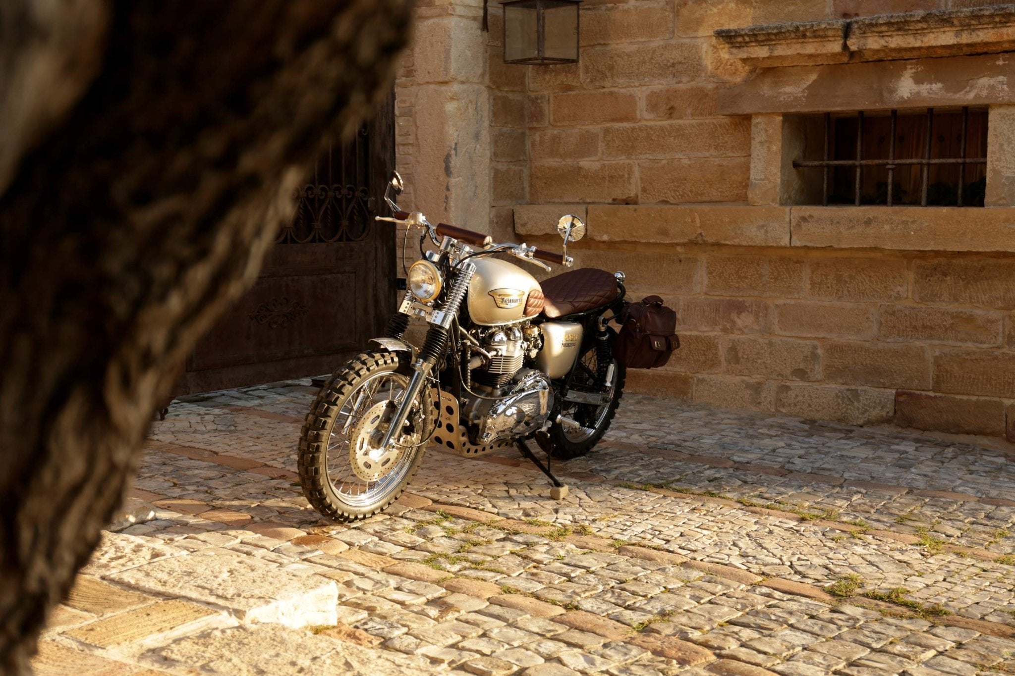 D. Franklin by Tamarit - Custom Triumph Build