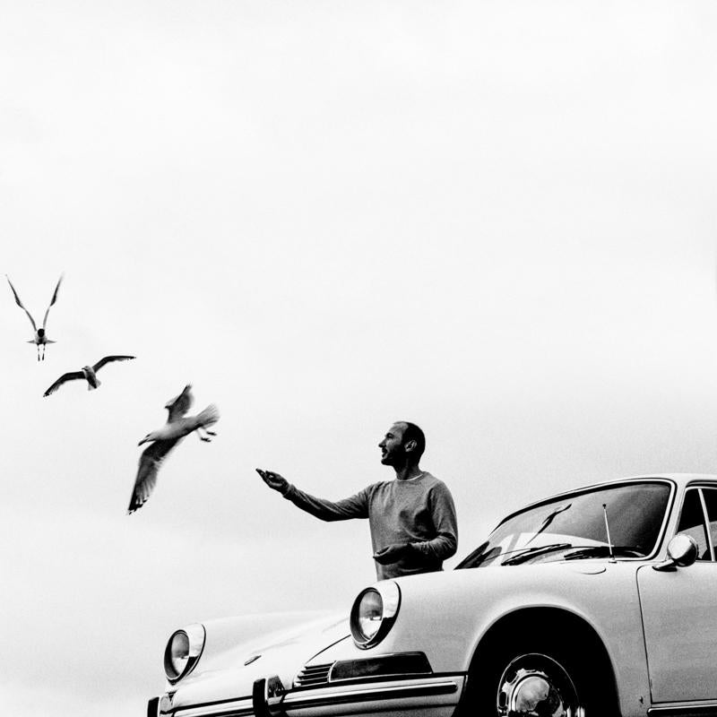 FA16 - Aldeburgh Seagulls - TheArsenale