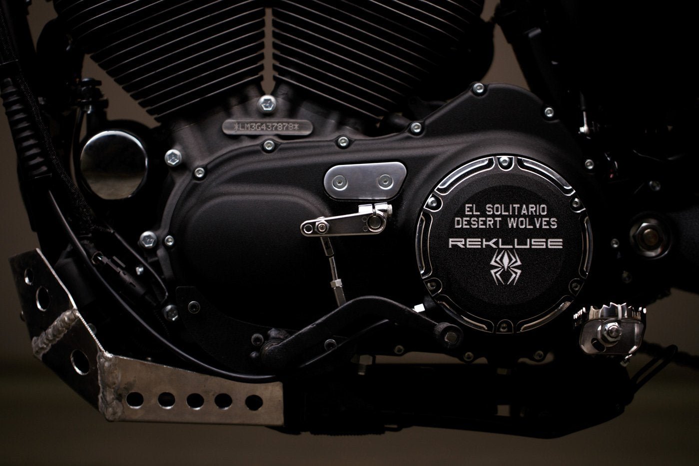 Harley Davidson 1200 Roadster Desert Wolf - TheArsenale