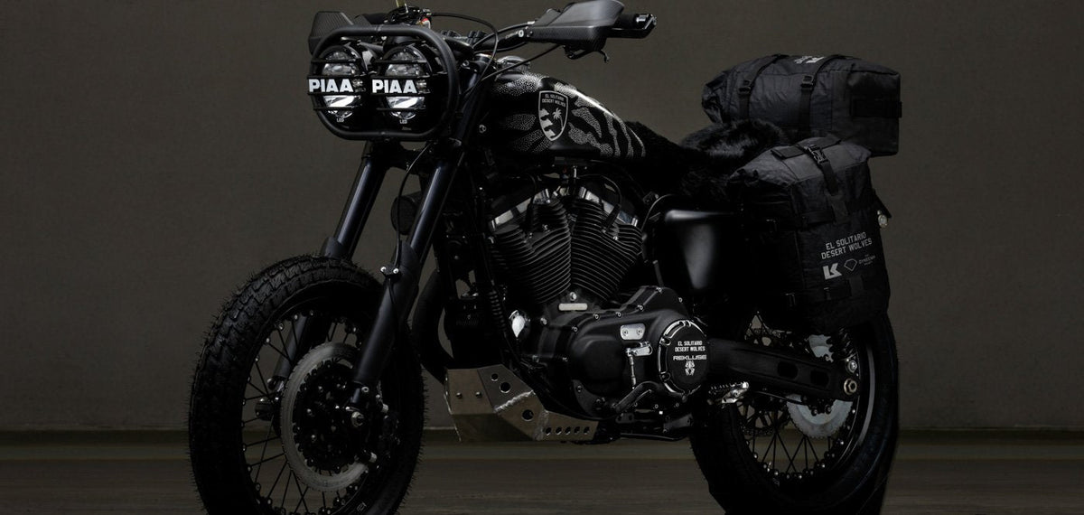 Harley Davidson 1200 Roadster Desert Wolf