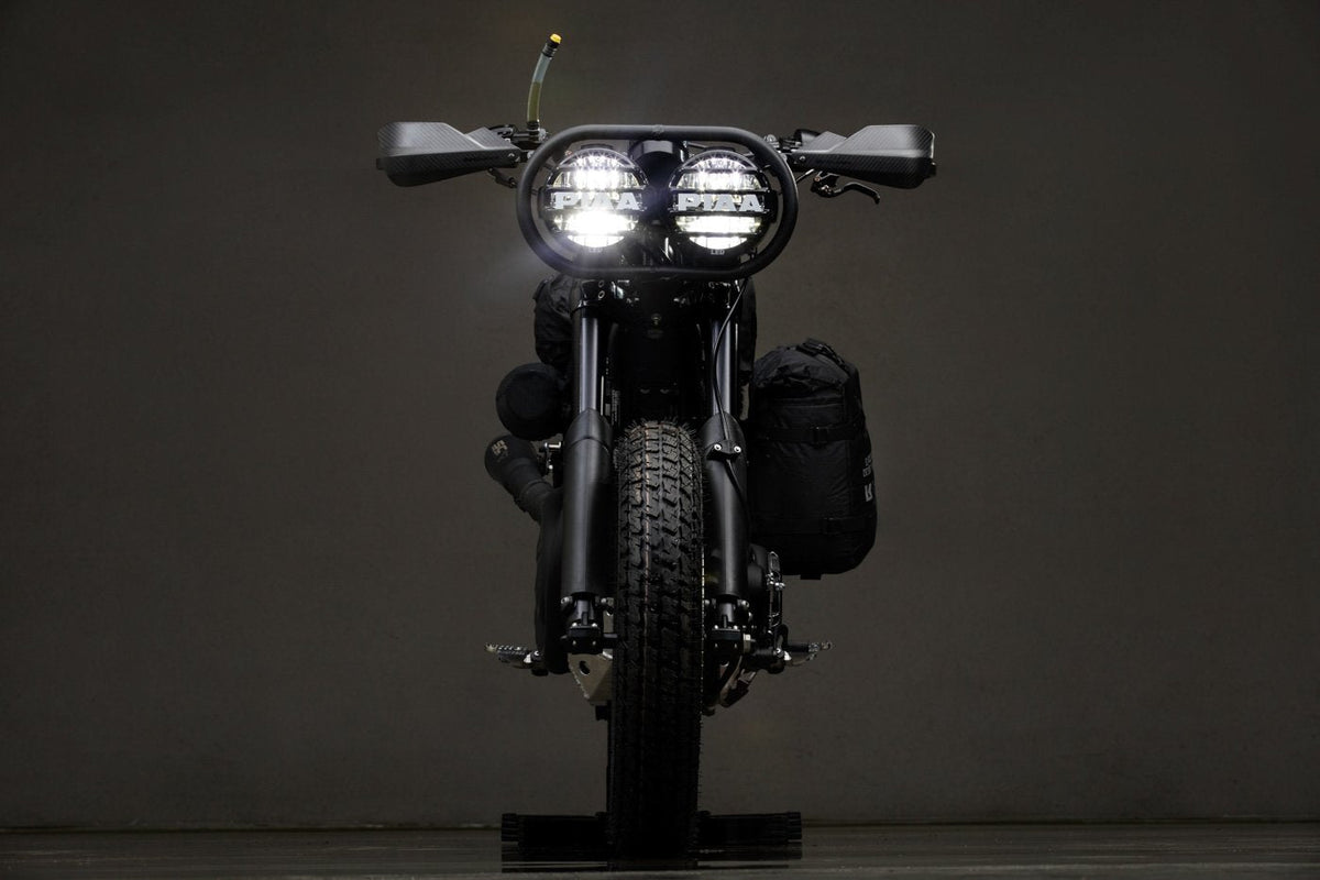 Harley Davidson 1200 Roadster Desert Wolf