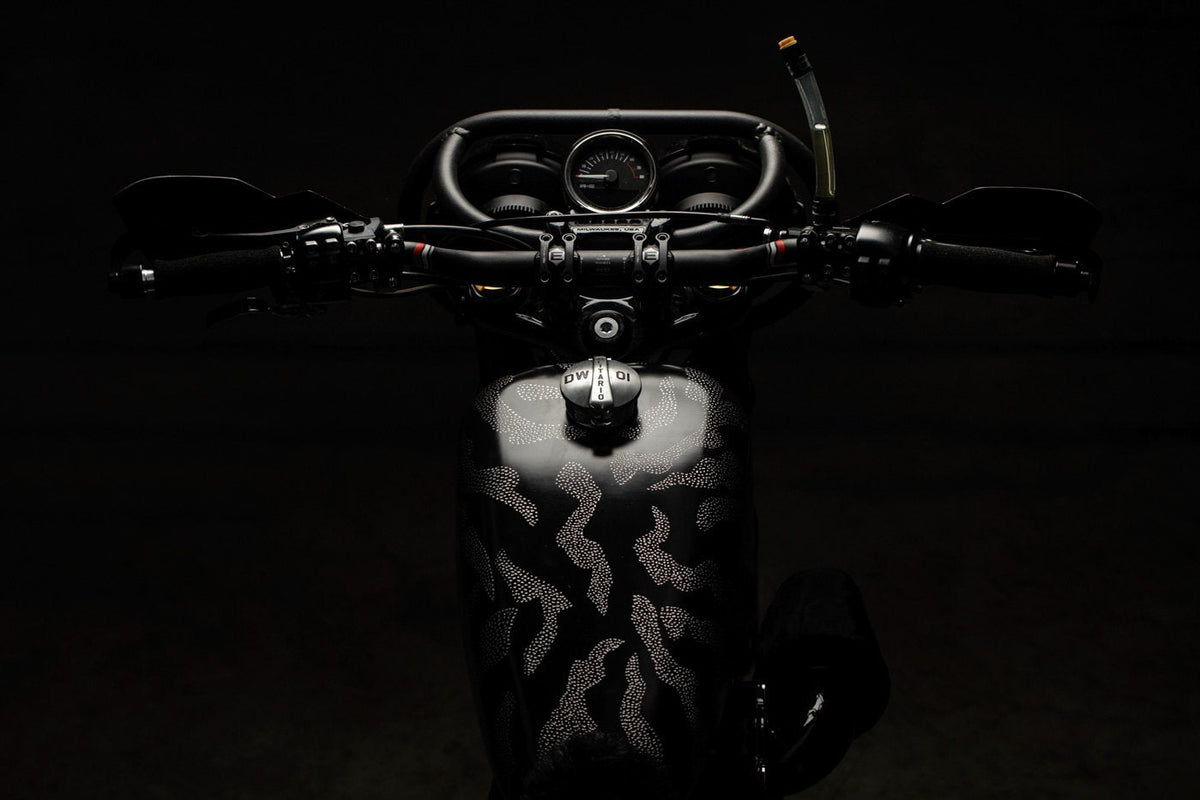 Harley Davidson 1200 Roadster Desert Wolf