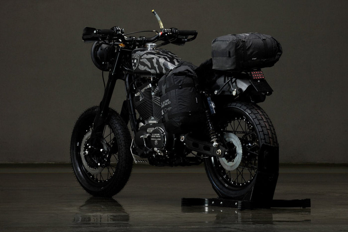 Harley Davidson 1200 Roadster Desert Wolf