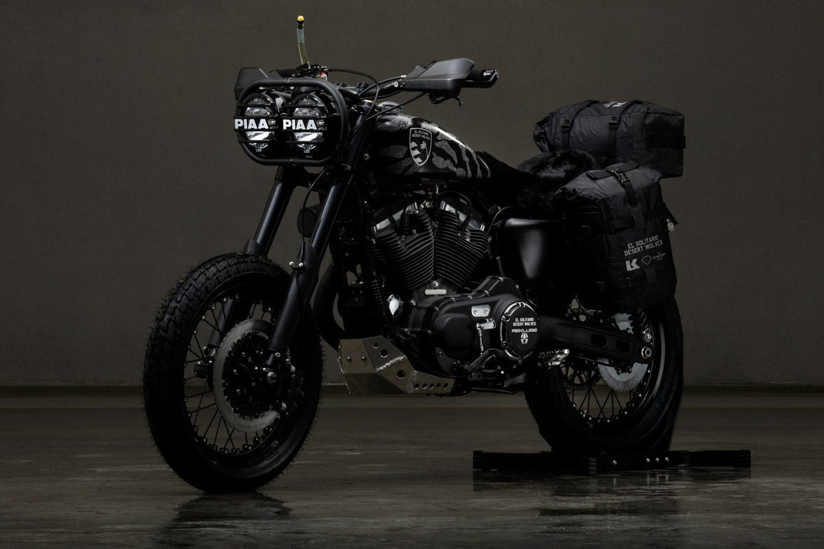 Harley Davidson 1200 Roadster Desert Wolf