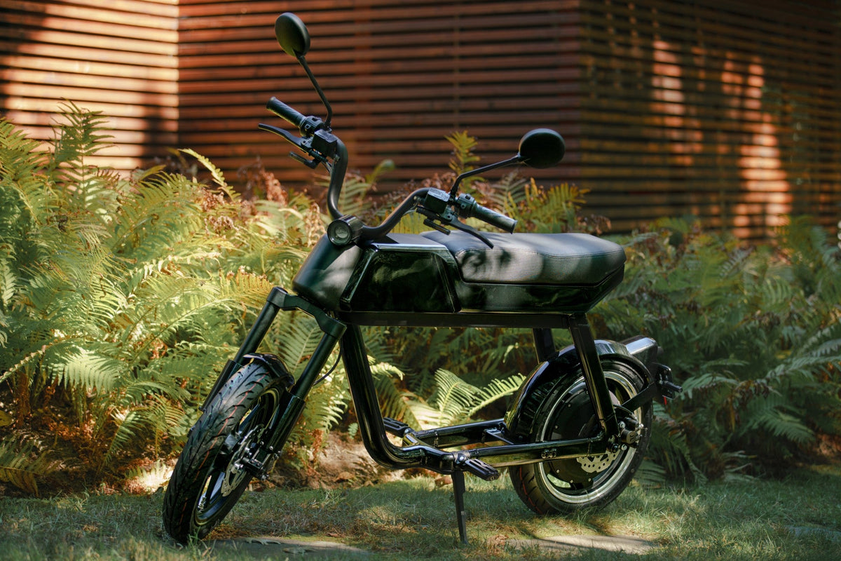 Pave 1 - Electric Scooter