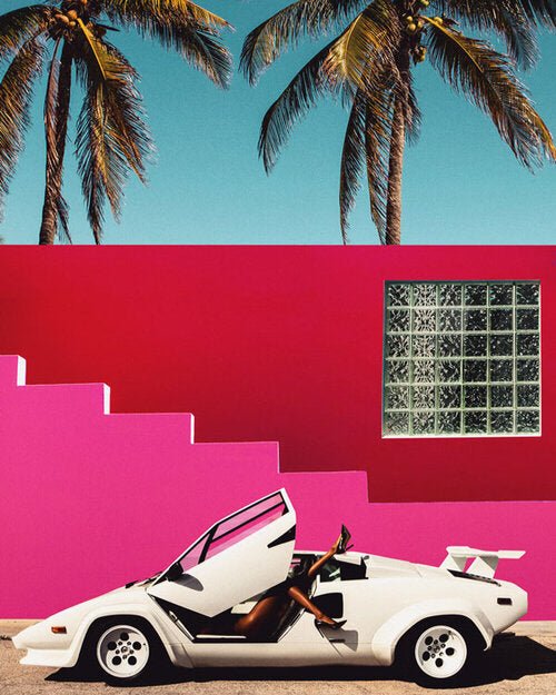 RIOCAM WHITE LAMBO