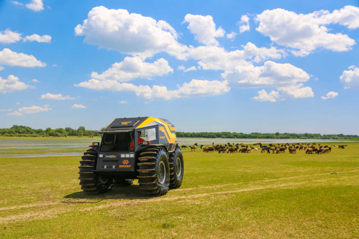 Sherp ATV - Amphibious All-Terrain Vehicle