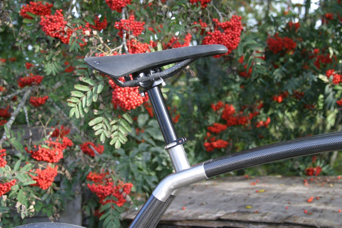Viks Carbon
